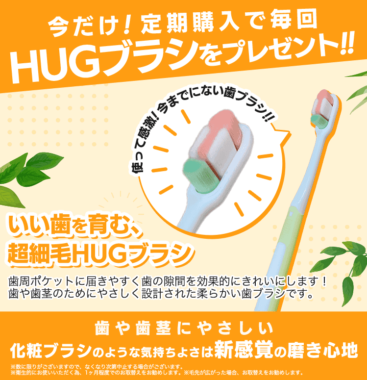 HUG歯ブラシをプレゼント